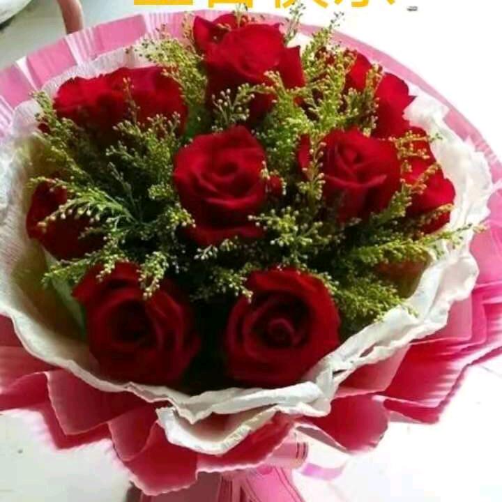 你若安好，便是晴天