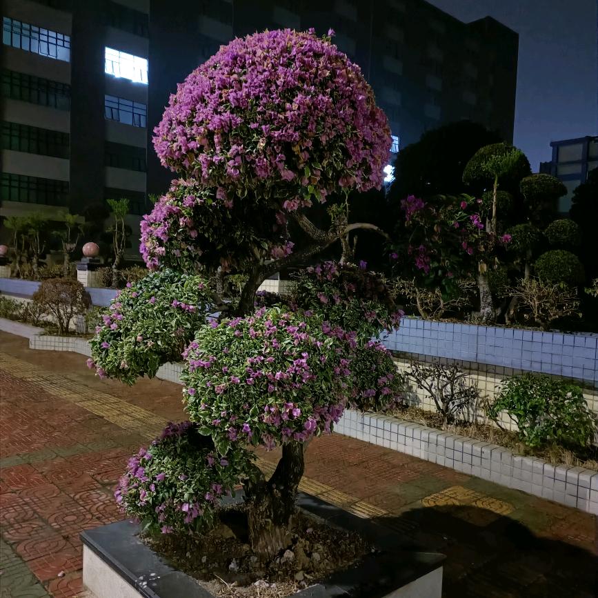 用户088