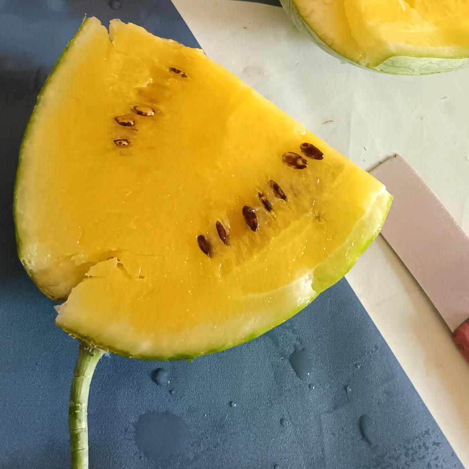 嗨