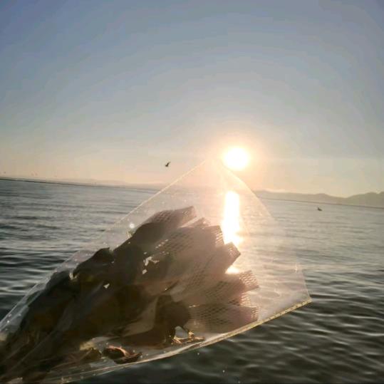 静品严选百货雯雯