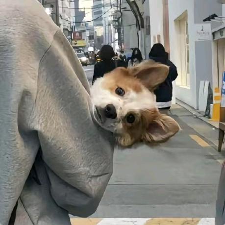 ㅤㅤㅤㅤㅤㅤㅤㅤㅤㅤ0️⃣0️⃣7️⃣