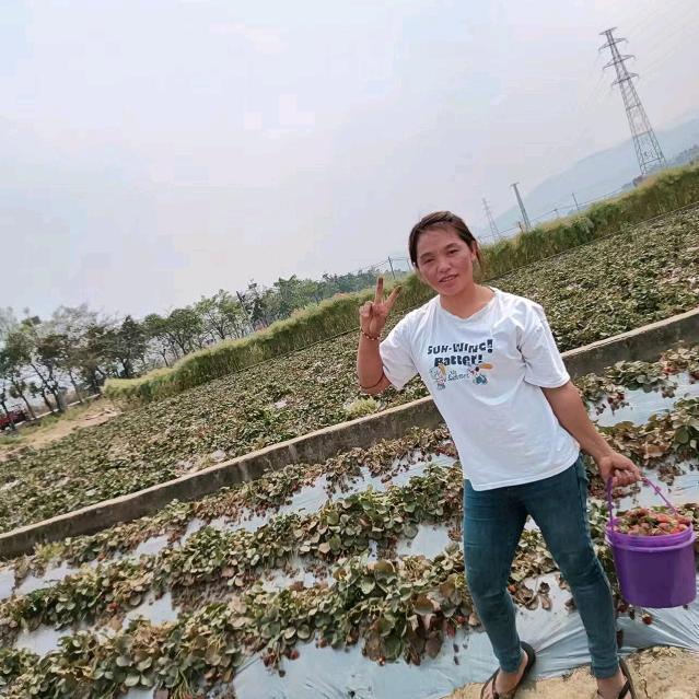 小可爱