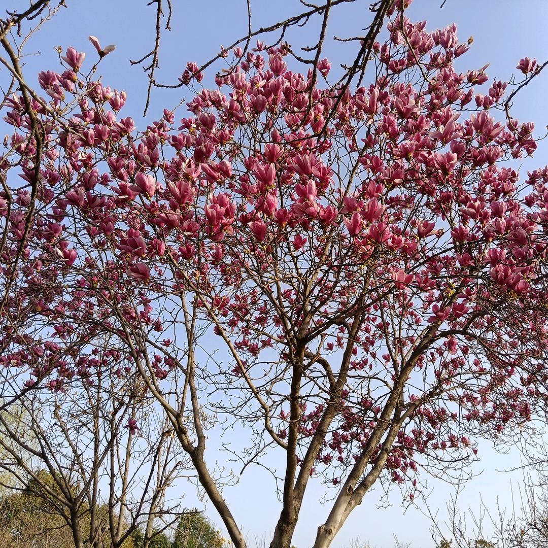 永闯天涯