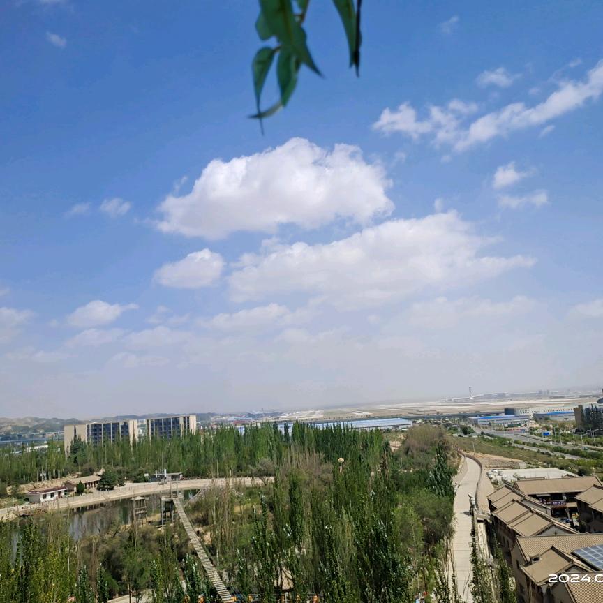 喜欢拍摄的🌴丁🌴