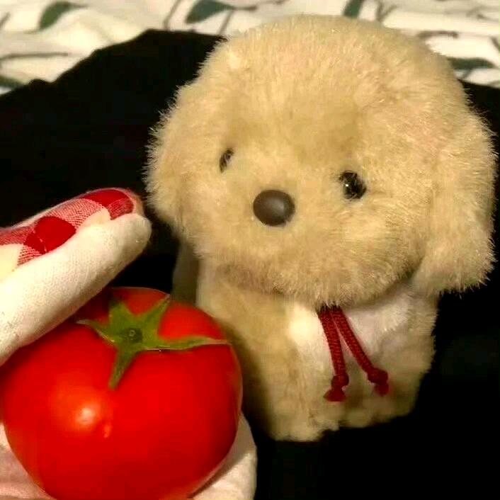 小火车呜呜呜