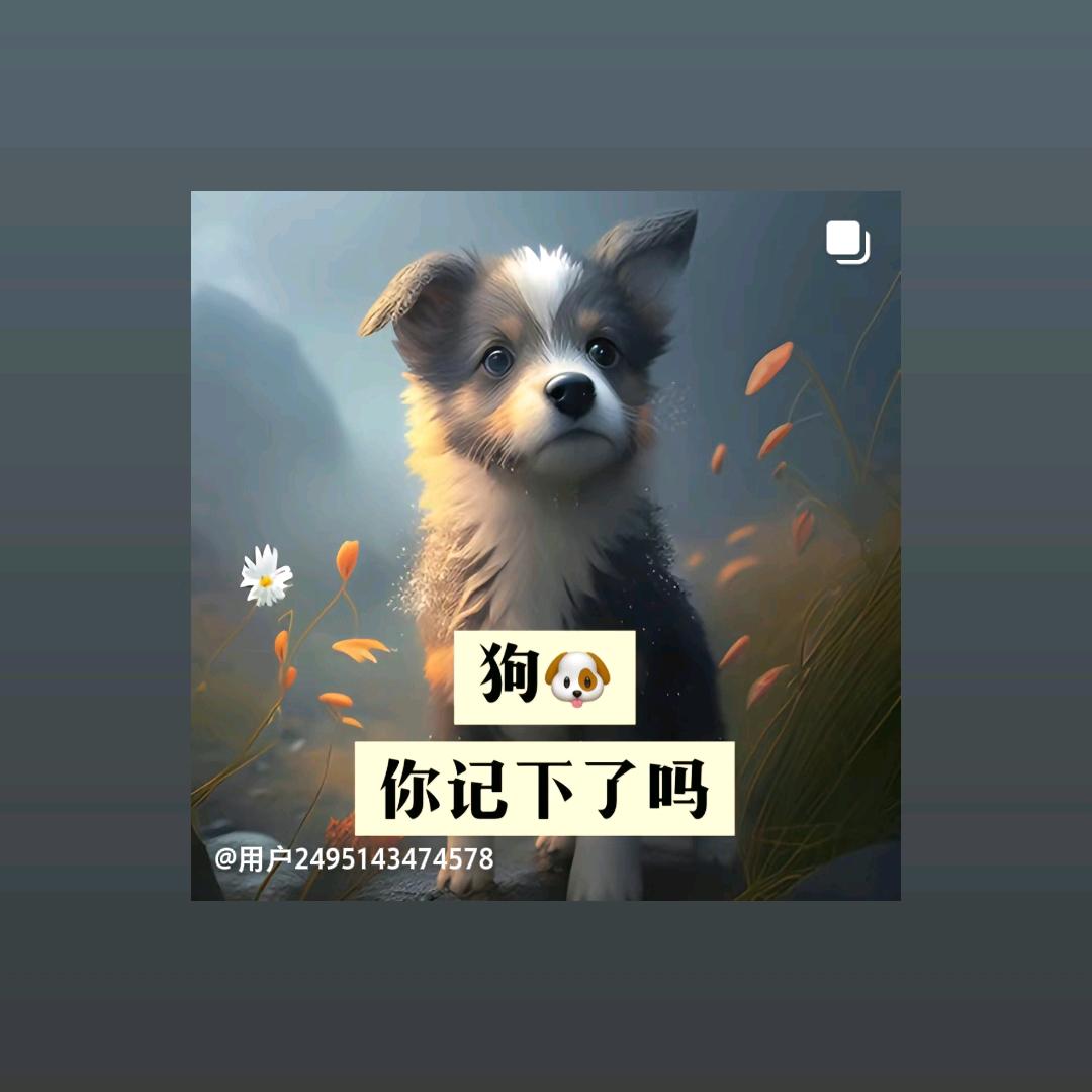 用户6752197606371
