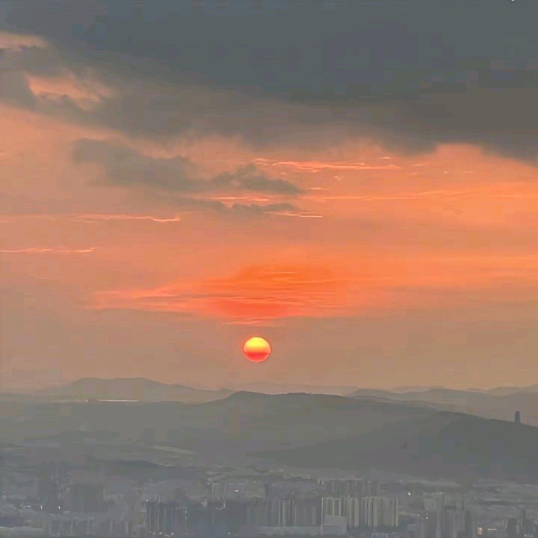 忘忧君