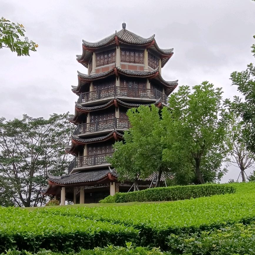 海哥《五二零》