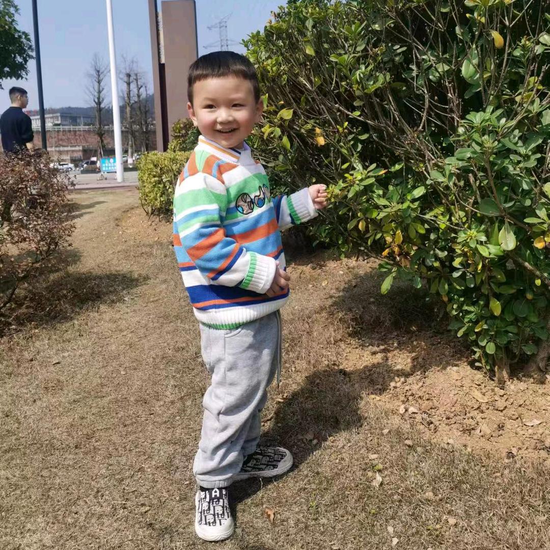 酱香之魂