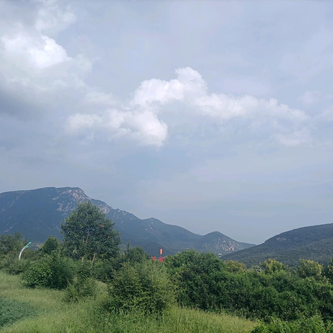 年少轻狂
