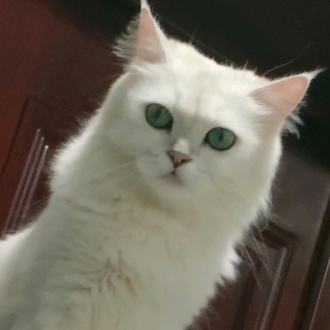 久久