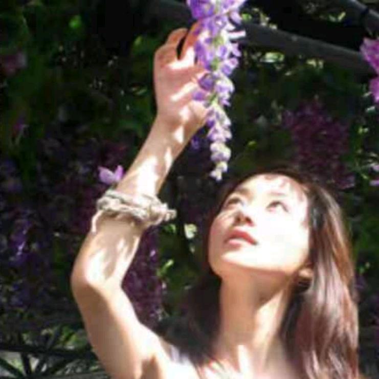紫藤花