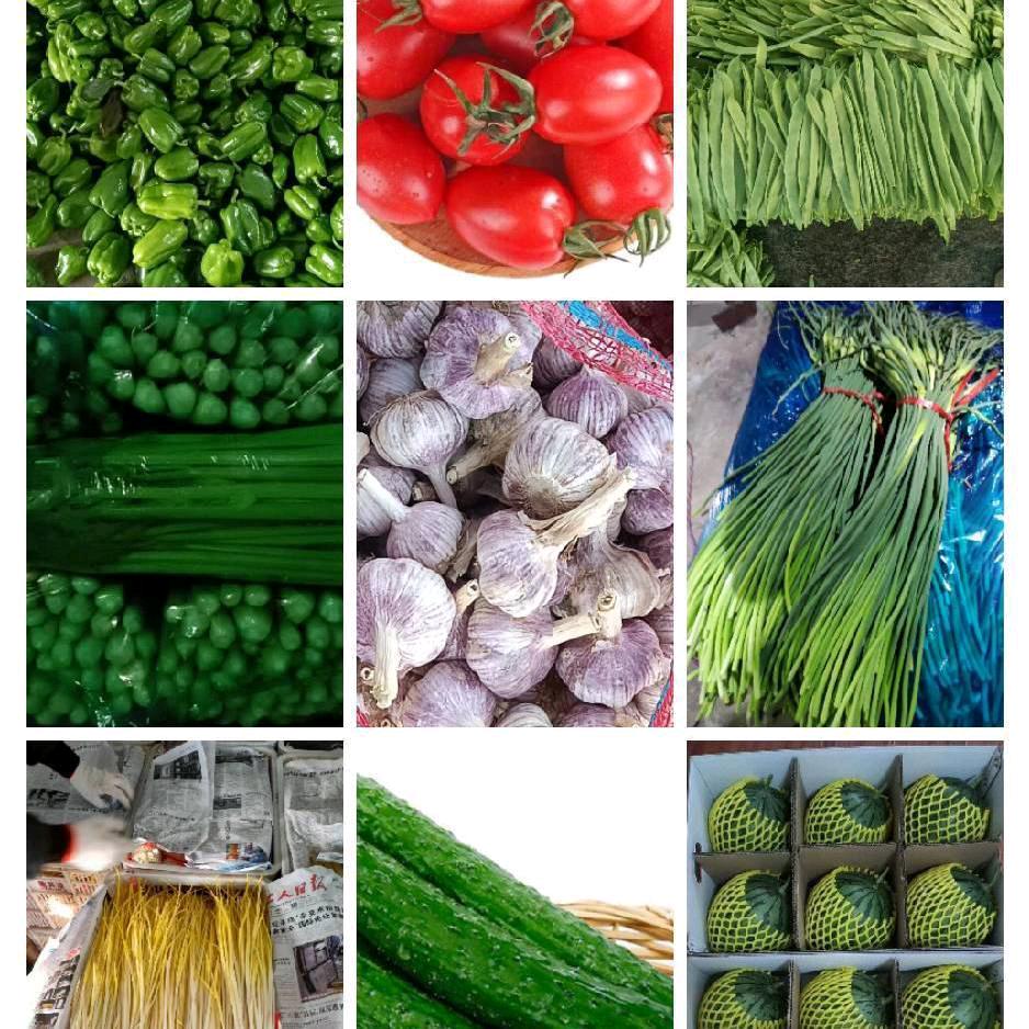 芳青蒜种蔬菜基地