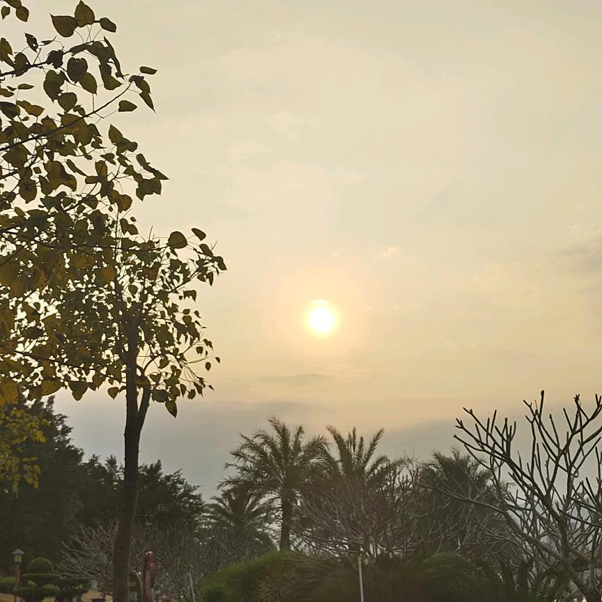 婕婕♥好物优选