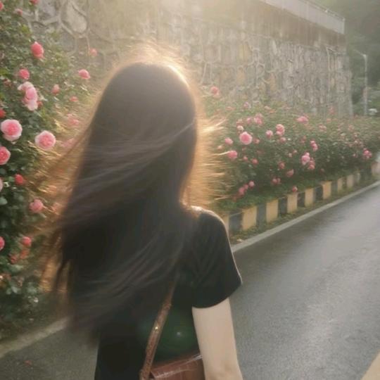 木子Lᓚᘏᗢ