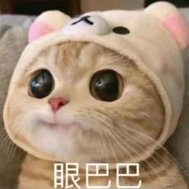 一凡@阳光雨露均是爱