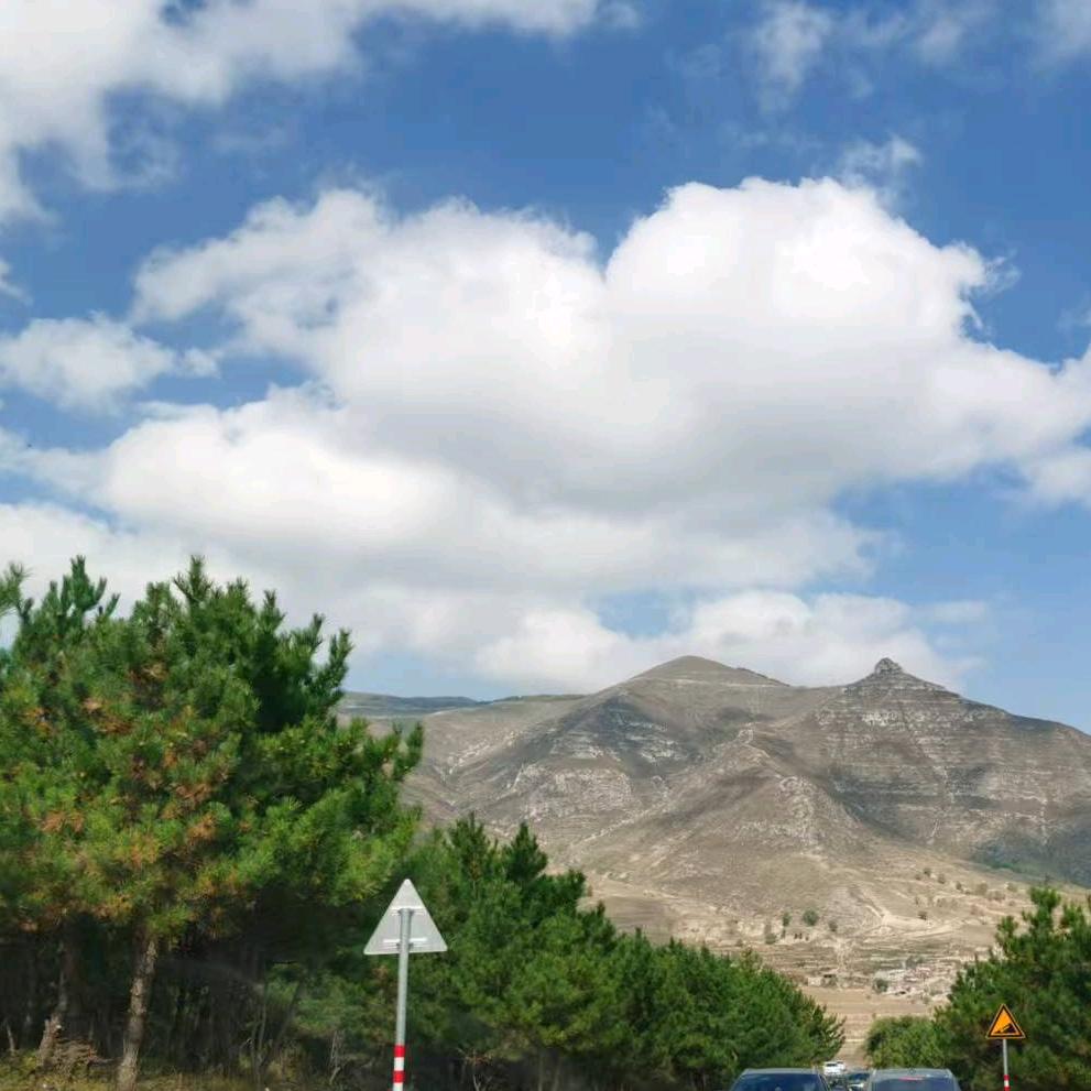 山药片