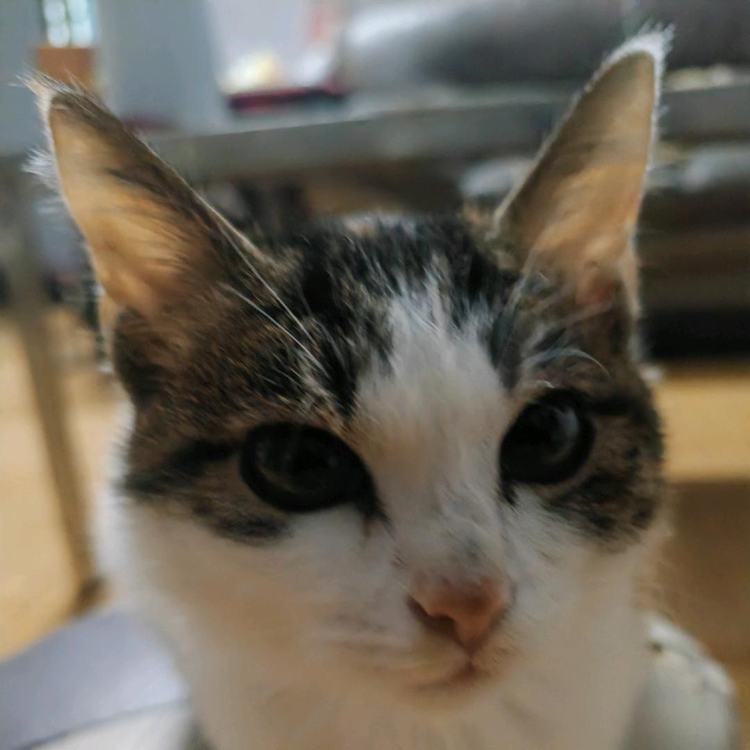 @骑着蜗牛跑外卖