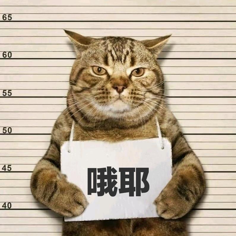 哦耶