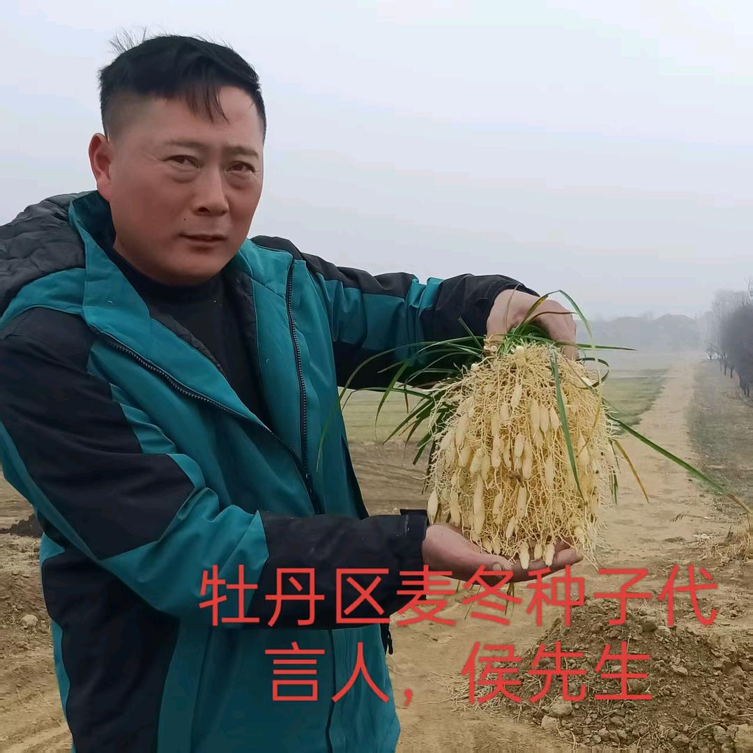 我是你大爷啊！