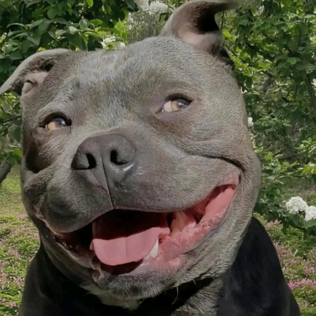 一位不愿意透露姓名的李先生