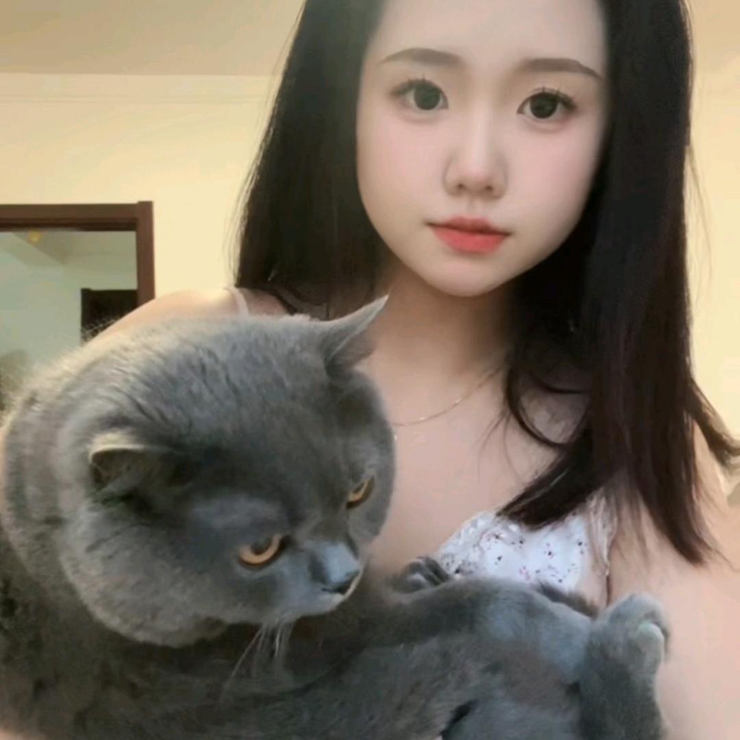 aaaa