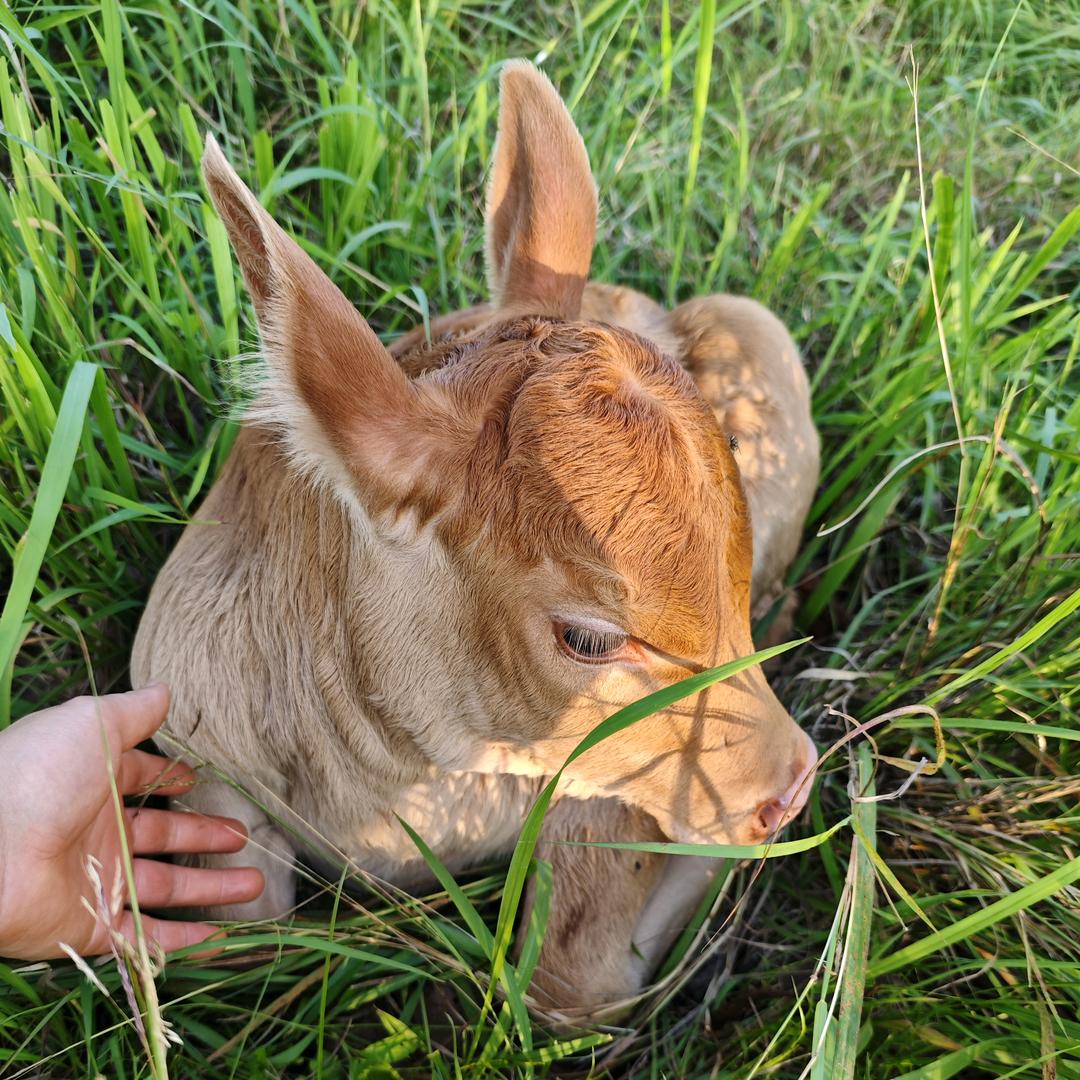 人    一定要靠自己