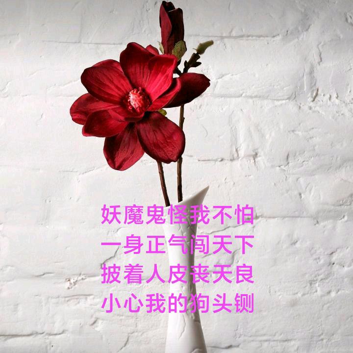 姚身一变
