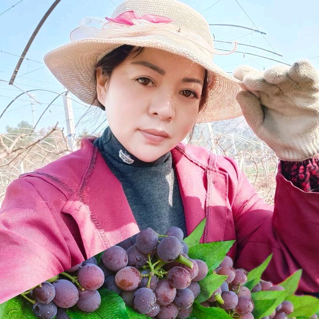远安～村里一枝花