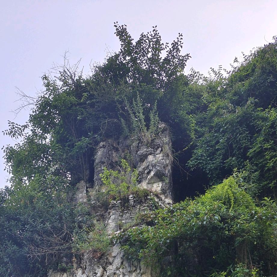 风一样自由