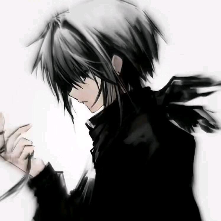 孔扇君