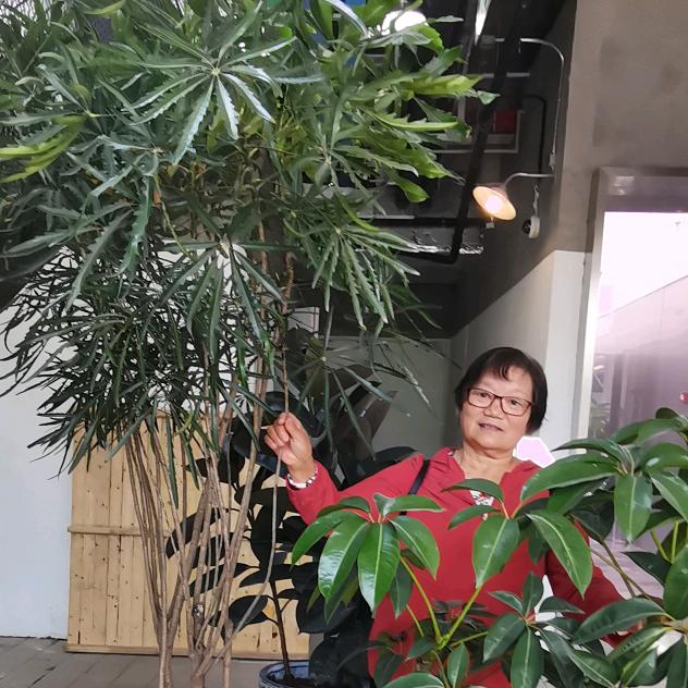 就叫妮儿