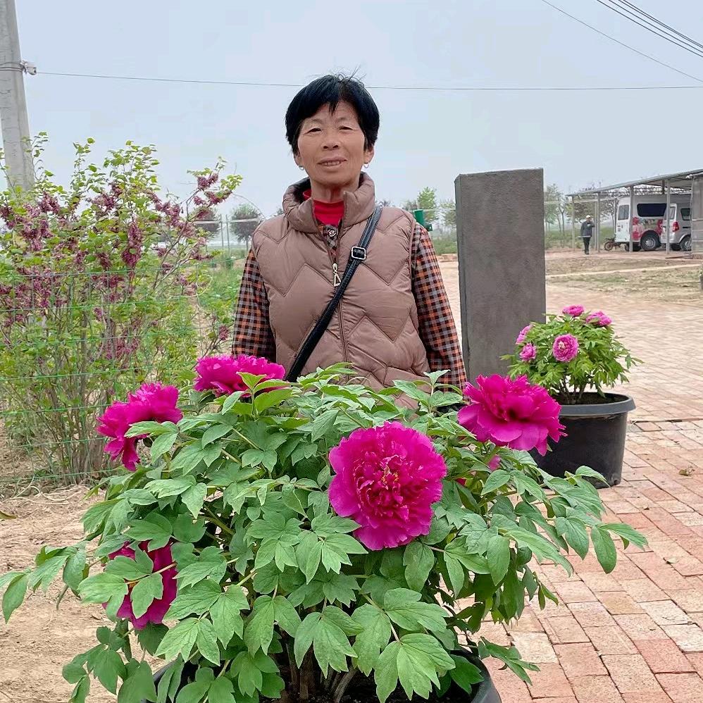 钱大姐