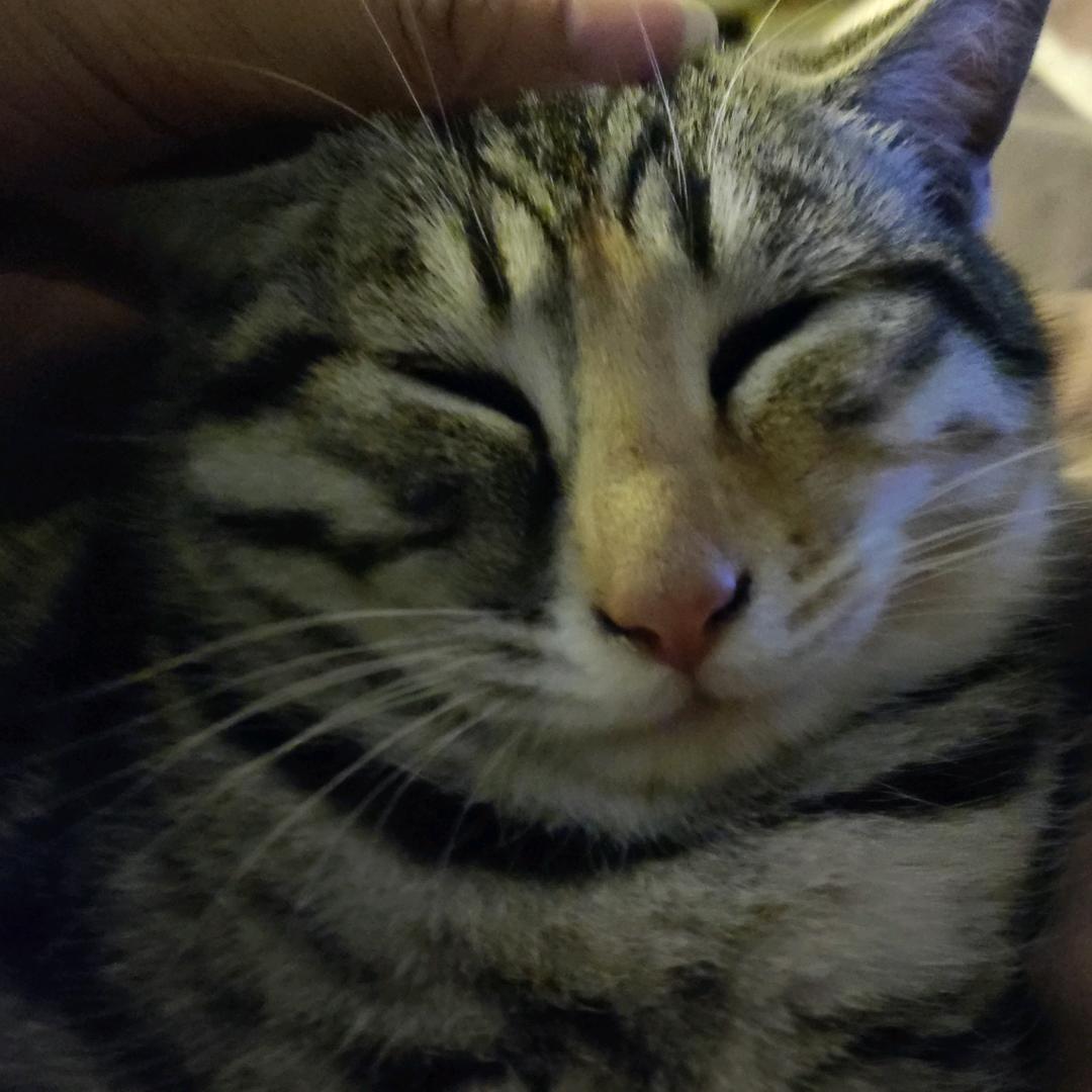 猹er
