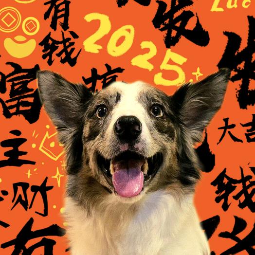呆着别动