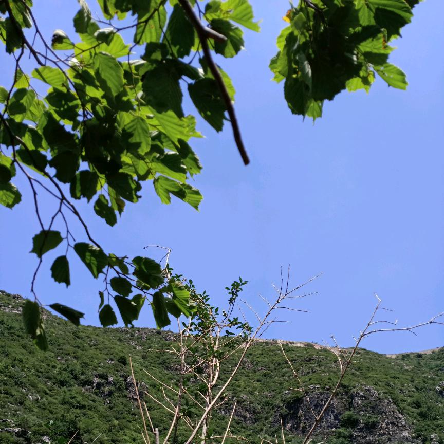 庭美优品