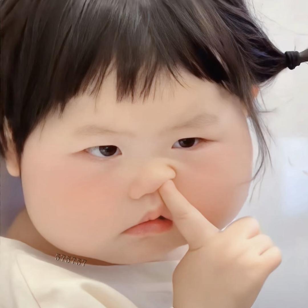 ¹只小猪（见过鹿晗版）