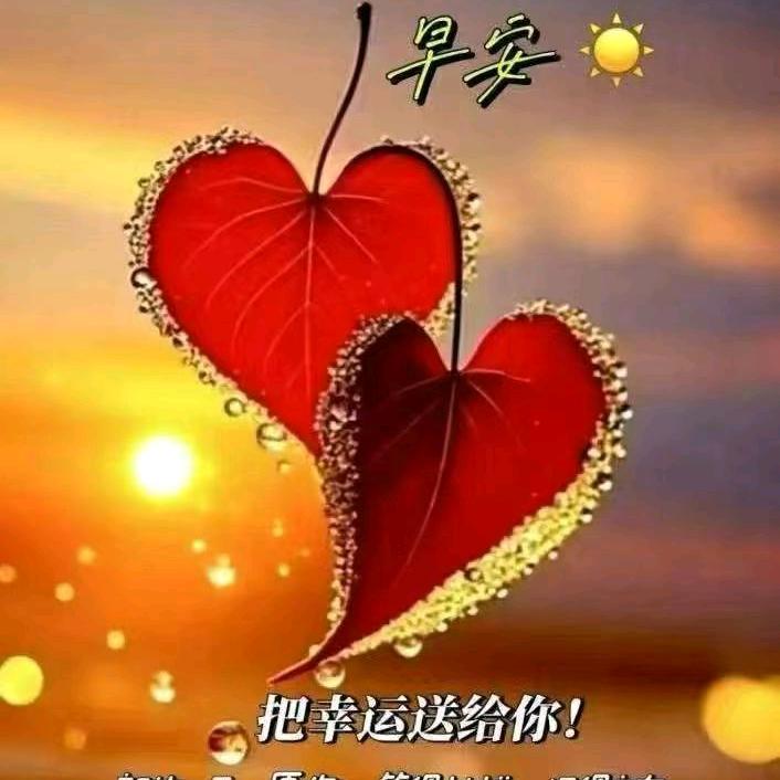 好运常相随