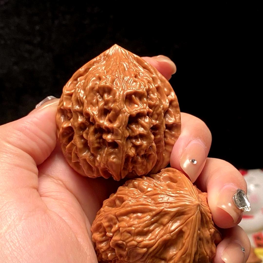 文涛核缘