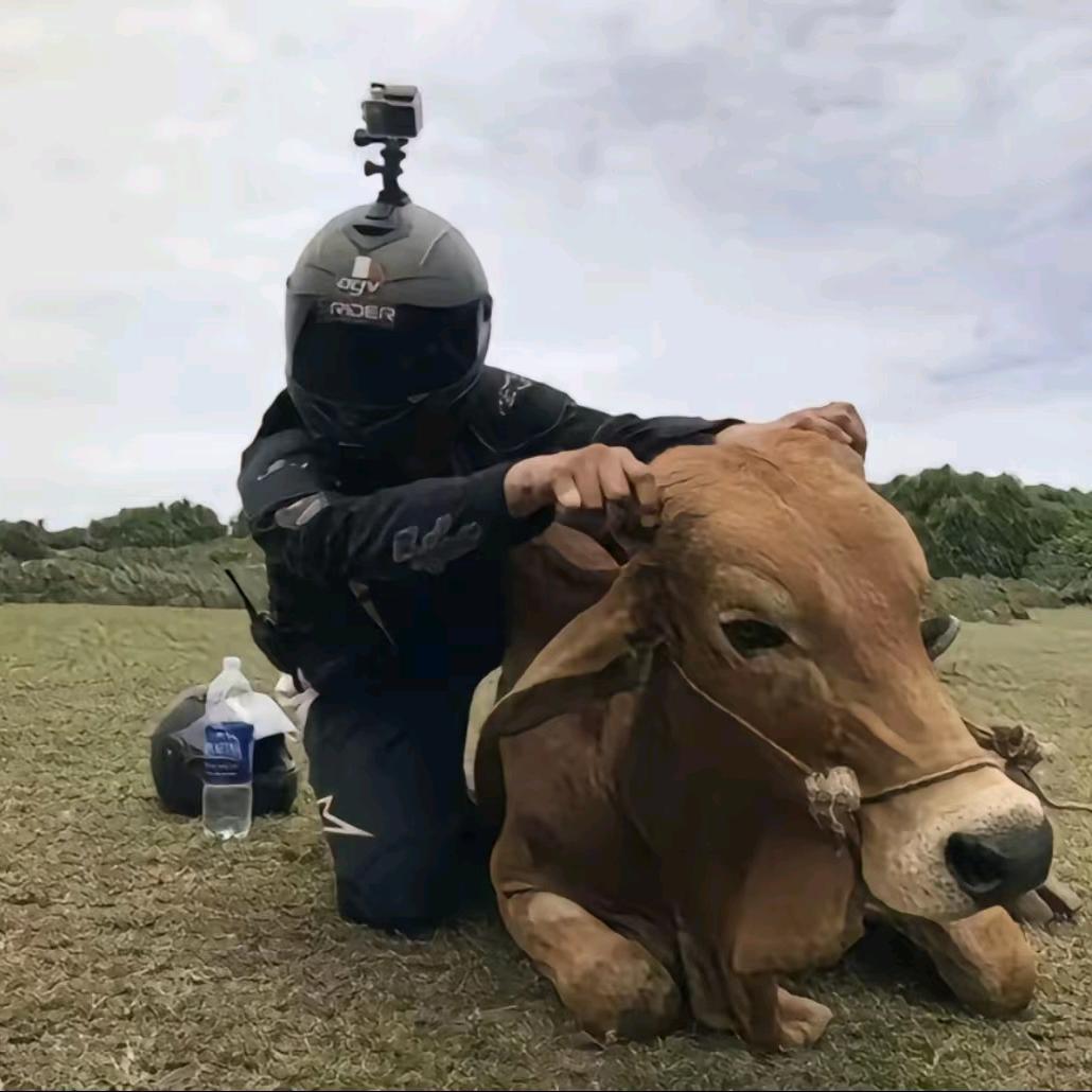 萧楚喃