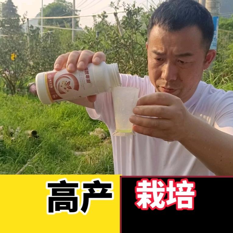 棚架作物高产蒋坛