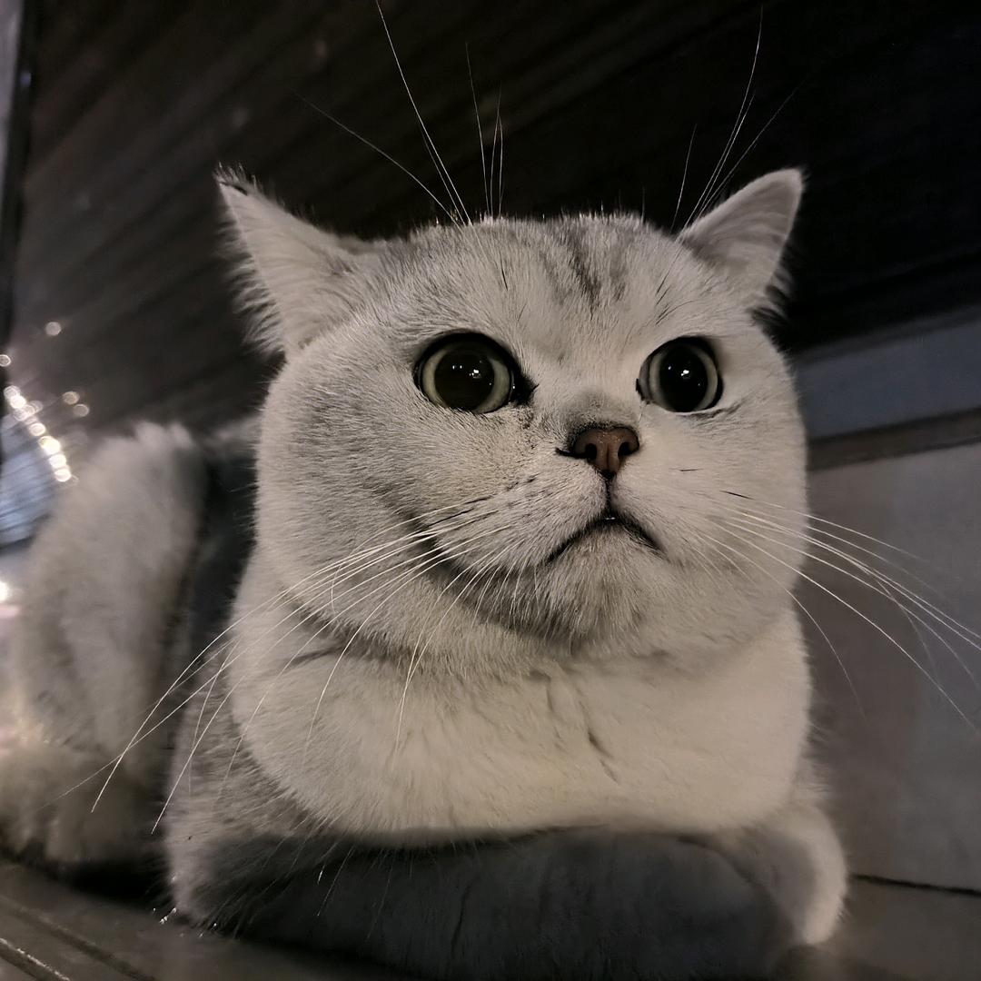 南宫逸成