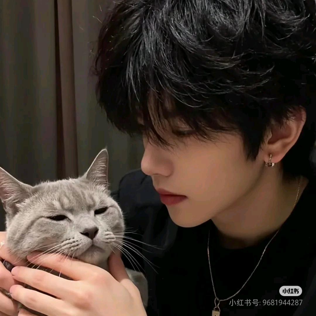猫尼（养宠经验）