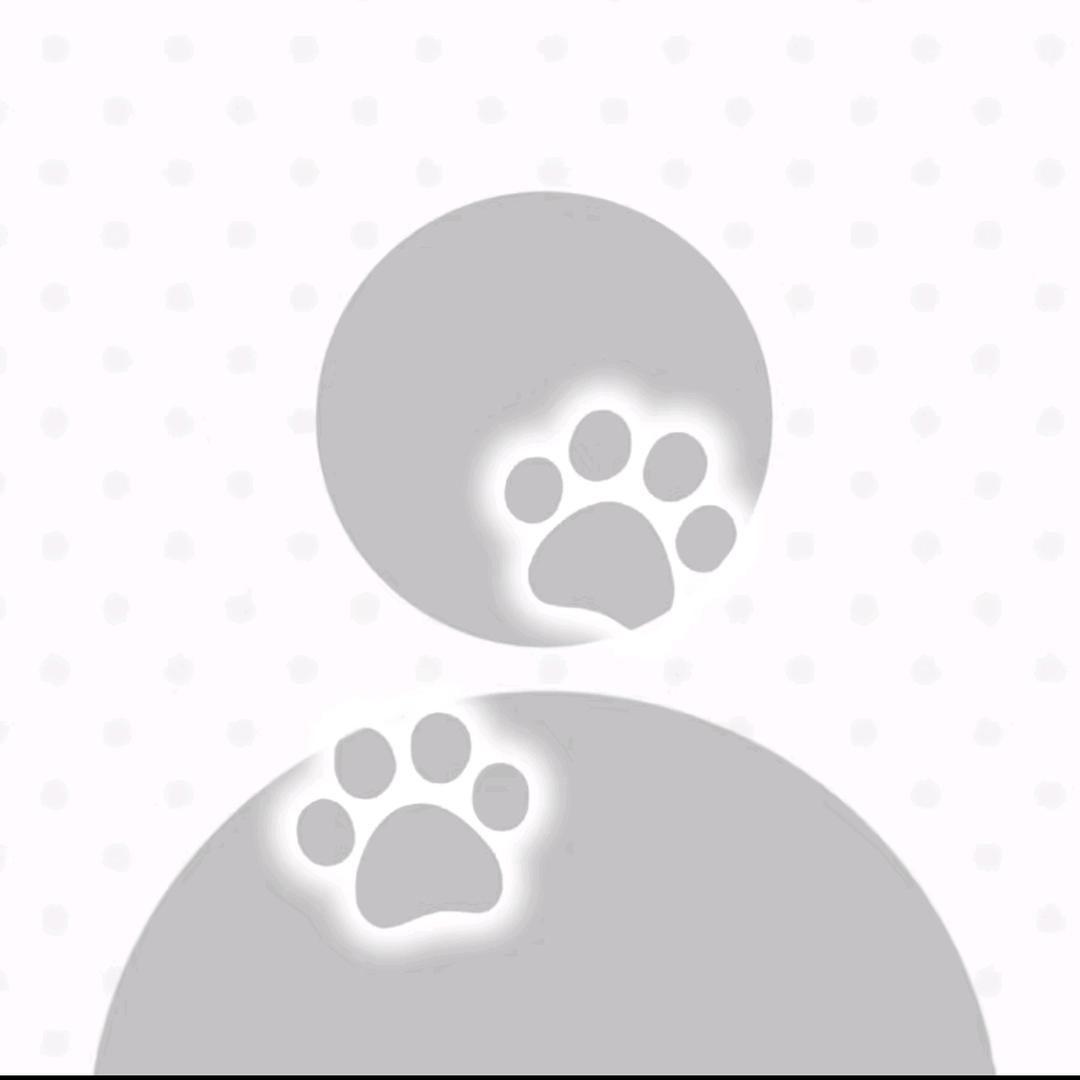 灰色岛民꒦ິ^꒦ິ