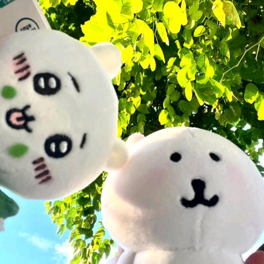 喵喵喵喵咪咪咪咪咪喵喵喵喵