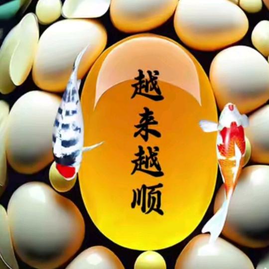 太阳照大地