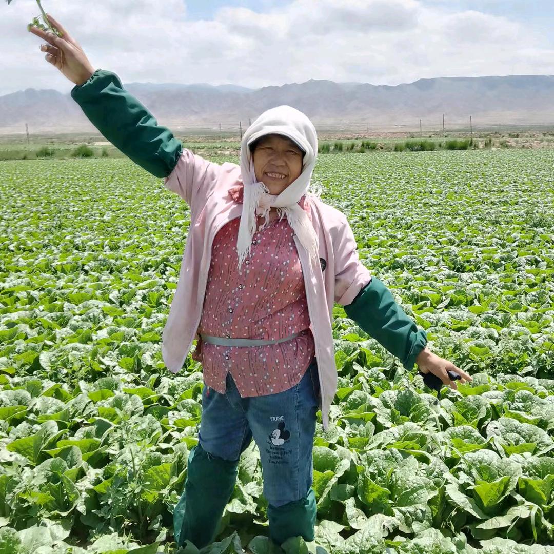 农村李大妈    早上8点40开播