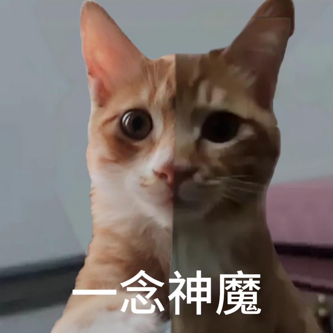 猫反八(善财求推荐版)