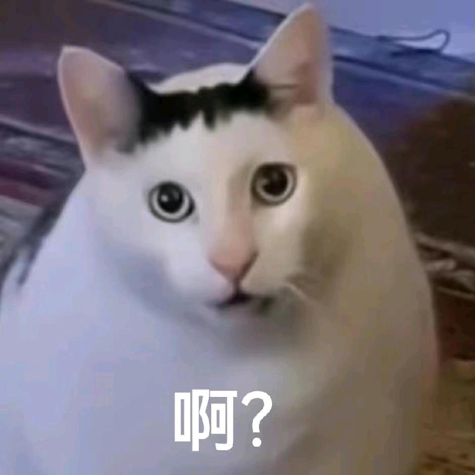今晚吃烧卖