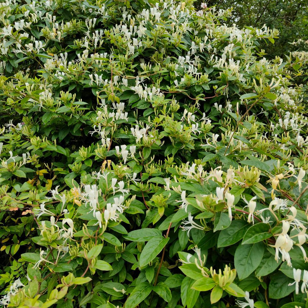 不要让别人改变我的心态。